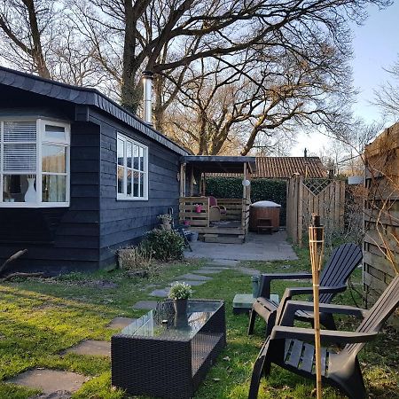 Chalet 2 Pers Met Hottub - Aan De Bosrand - Ijsselmeer - Gaasterland - Bos Rijs Extérieur photo