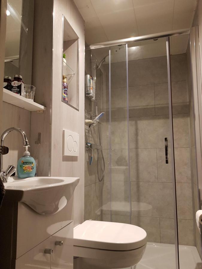 Chalet 2 Pers Met Hottub - Aan De Bosrand - Ijsselmeer - Gaasterland - Bos Rijs Extérieur photo