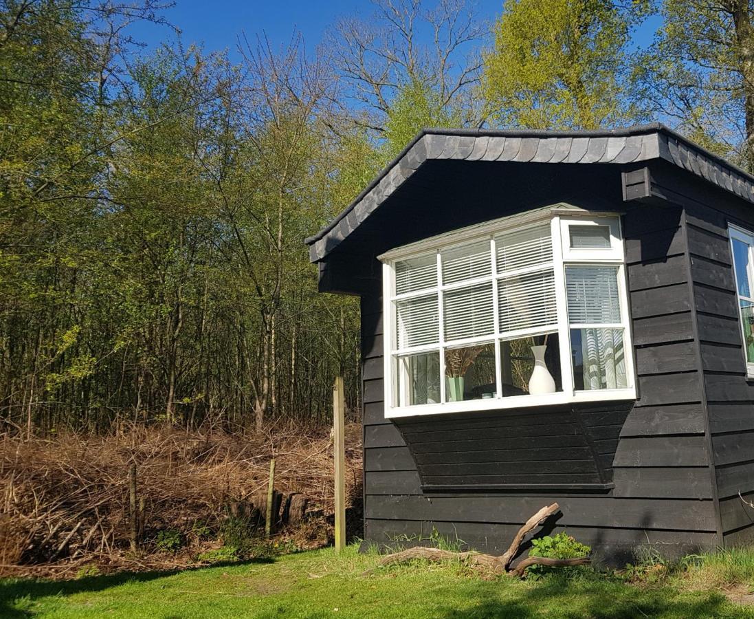 Chalet 2 Pers Met Hottub - Aan De Bosrand - Ijsselmeer - Gaasterland - Bos Rijs Extérieur photo